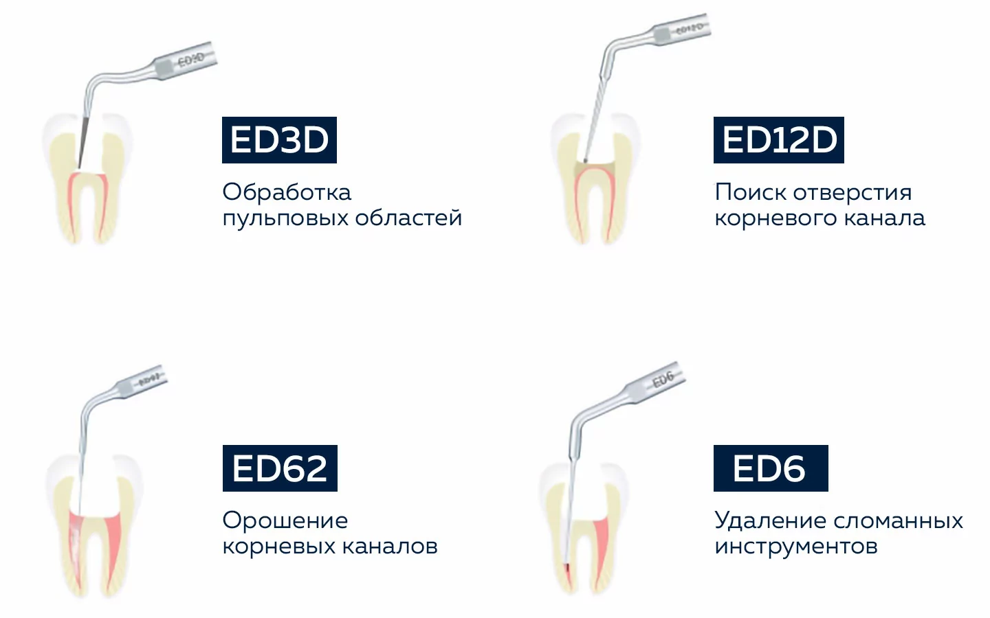 D600 LED: эндодонтические возможности