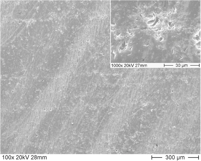 fig5.jpg