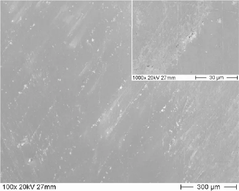 fig9.jpg
